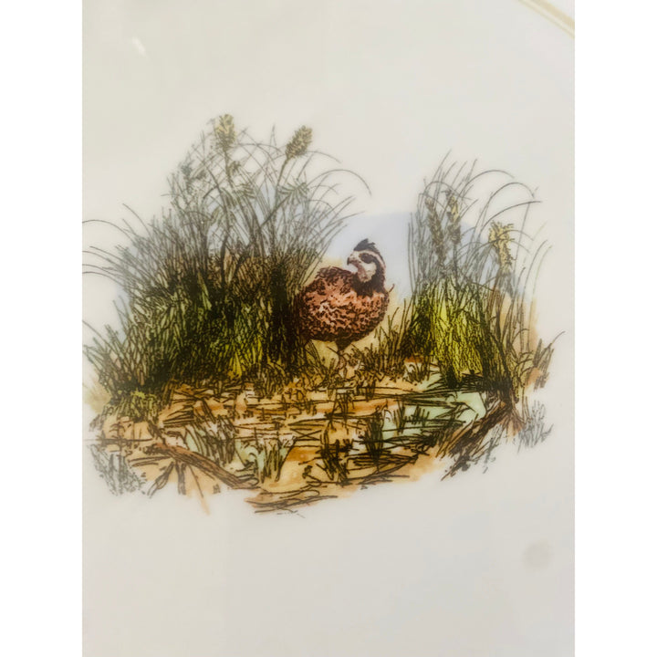 Wildlife Rimmed Bowl